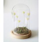  освещение LUMO тюльпан стекло купол S