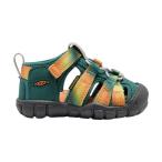 サンダル 「New color」SEACAMP II CNX / シーキャンプ ツー シーエヌエックス / キッズ サンダル