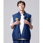 ダウンベスト ベスト 「TAION(タイオン)」「ユニセックス」ジャパンスペシャル リバーシブル ベトジャン刺繍 ダウンベスト メンズ レディース