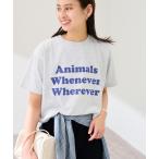 tシャツ STUDIO ANIMALS 別注WHENEVER WH レディース