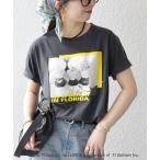 tシャツ 「SHIPS any別注」GOOD ROCK SPEED:「洗濯機可能」LPC ロゴ プリント TEE レディース