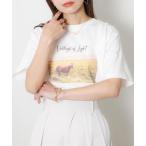tシャツ 馬フォトプリント半袖Tシャツ レディース
