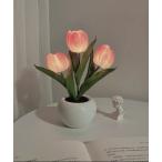  освещение цветок лампа / свет 