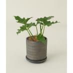  ваза LUNO PLT M / 681371