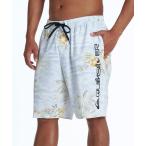  купальный костюм QUIKSILVER/ Quick Silver мужской купальный костюм трусы вода суша обе для cocos nucifera. дерево рисунок QBS262005 мужской 