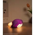  освещение [ Sanrio ]si Ricoh n внутренний свет 