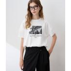 tシャツ 半袖 速乾 フォトプリントドルマンTシャツ「接触冷感・吸水速乾」 レデ