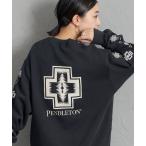  футболка тренировочный [PENDLETON/ авторучка доллар тонн ] специальный заказ Hardy ng рисунок задний принт вырез лодочкой тренировочный женский мужской 