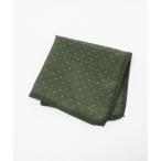  pocket square [molteni] точка pocket square мужской 