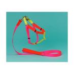 犬 ハーネス リード NEON COLORBLOCK HARNESS