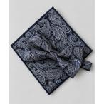  бабочка галстук bow Thai & pocket square комплект бабочка галстук носовой платок peiz Lee одноцветный мелкий рисунок OXA