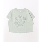 ベビー 「Rylee+Cru」Boxy Tee Seashells