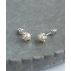 ピアス 2Pset パールピアス(L) レディース