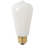  освещение [ детали распродажа ] bride Vintage клапан(лампа) лампа / BRID VINTAGE LED BULB[E26_ style свет не возможно ]