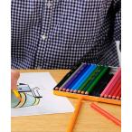 ペン Bic ビック 色鉛筆 18色セット