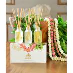 ルームフレグランス Reed Diffuser Gift S