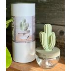 ルームフレグランス CACTUS FRAGRANCE DIF
