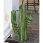 インテリア CACTUS D / カクタス