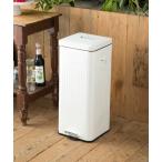 ゴミ箱 ダストボックス GalvaスクエアダストBOX30リットル