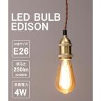 照明 LED SWAN BULB VF EDISON LED電球