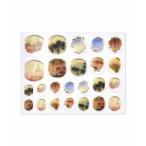 ショッピングネイルシール ネイルチップ ネイルシール ＭＥＤＥ１９Ｆ　ターナーの世界をまとうネイルシール