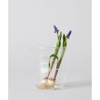  ваза лабораторный стакан 300ml HARIO/ HARIO 