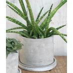 花瓶 CEMENT POT ROUND M/4号 植木鉢