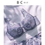 ブラジャー ブラジャー 「ChouChou de Lesi」 「3000シリーズ」