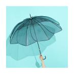 ショッピング傘 傘 クリアアンブレラ カラーパイピング 長傘 58cm グレー レディース