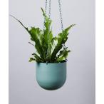  ваза вентилятор n висячий миска 5 номер /358065