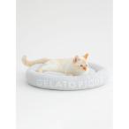 ペット マット 「CAT&DOG」「販路限定商品」ベビモコベッド