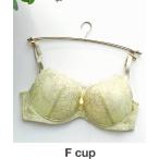 ブラジャー BRAGENIC+/アイラッシュレース ノンワイヤーブラジャー Fcup(ブラジェニックプラス)