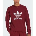 スウェット アディカラー クラシックス トレフォイル クルーネック スウェット / トレーナー / アディダスオリジナルス adidas Origin