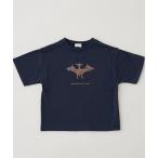tシャツ 「型崩れしないやわらかコットン」アソート恐竜プリントTシャツ キッズ 子供服 男の子