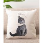 クッション クッションカバー ボナさん x Jubilee クッションカバー