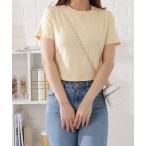 tシャツ ベーシッククロップド半袖カラートップス レディース