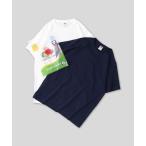 tシャツ FRUIT OF THE LOOM 2P パックカラーTシャツ 半袖 メンズ レディース