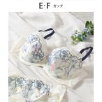 ブラジャー ブラジャー 「ときはなつブラ」