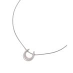 ネックレス ステンレススライドネックレス/196418 レディース