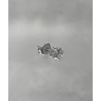  серьги SBG Stone серьги-гвоздики мужской женский 