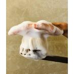 KOYUDO / 晃祐堂 　 花型ボディブラシ