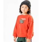 スウェット DINO 3柄スウェット キッズ