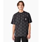 メンズ tシャツ Tシャツ Dickies x LURKIN