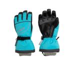 手袋 phenix(フェニックス)Crystal Flower Junior Gloves キッズ/スキーウェア/グローブ キッズ 子供