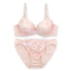 ブラジャー ショーツセット 刺繍が可愛いブラ＆ショーツSET 「 ペアブラジャー（ワイヤー有り）」 ブラジャーショーツセット