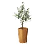 花瓶 WEB限定 ウッドプランター L