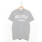 ショッピングホリスター 「Hollister」 刺繍半袖Tシャツ S グレー メンズ