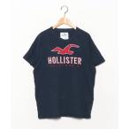ショッピングホリスター 「Hollister」 刺繍半袖Tシャツ L ネイビー メンズ