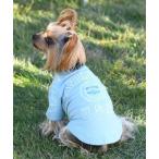  собака одежда AVIREX/ балка City Logo T