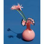 ショッピング花瓶 花瓶 レディース Casselini HOME(キャセリーニ ホーム)ガラスフラワーベースＣ